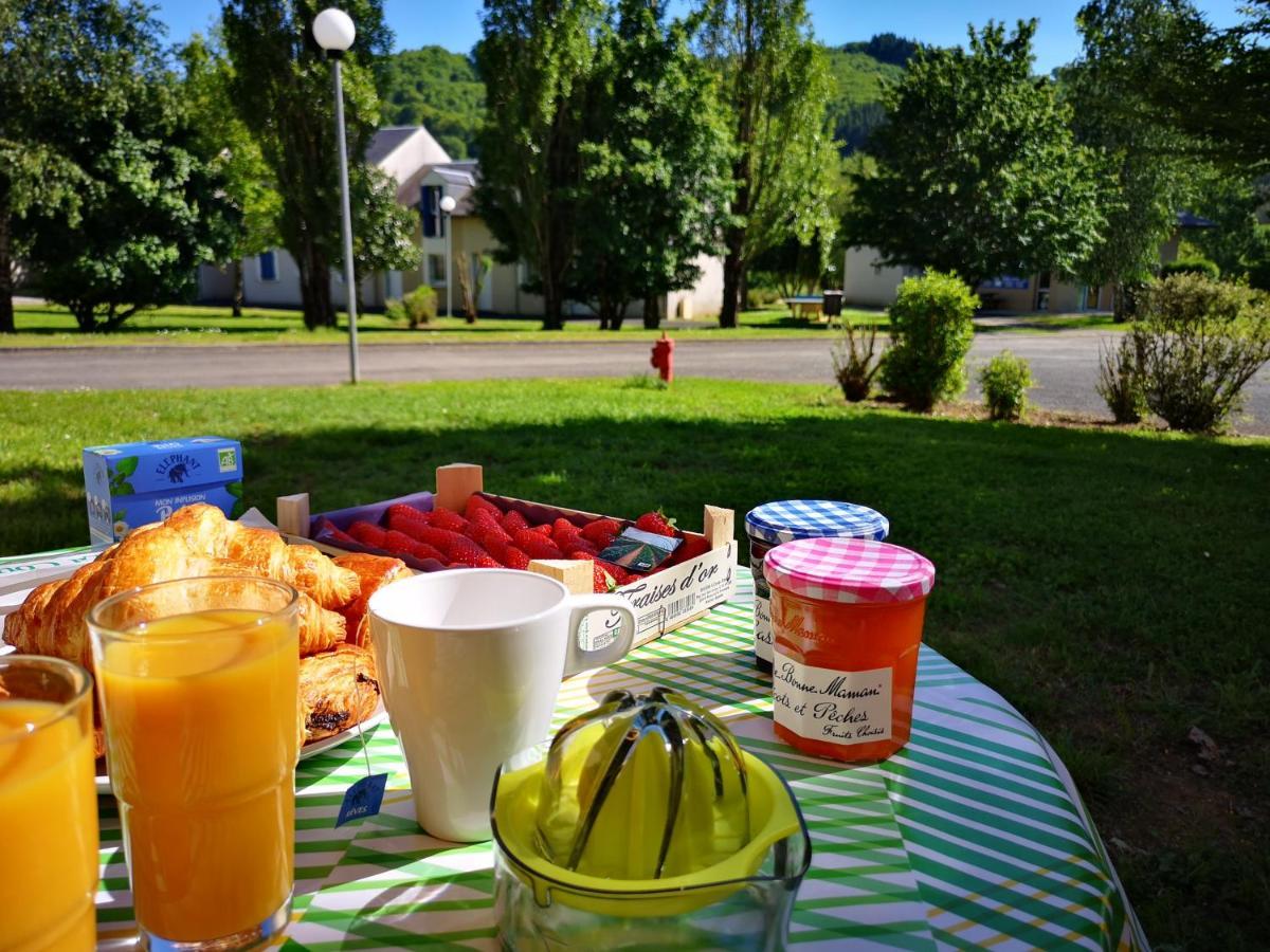 La Maison Bleue, Village Vacances, Piscine, Parking Saint-Geniez-dʼOlt Zewnętrze zdjęcie
