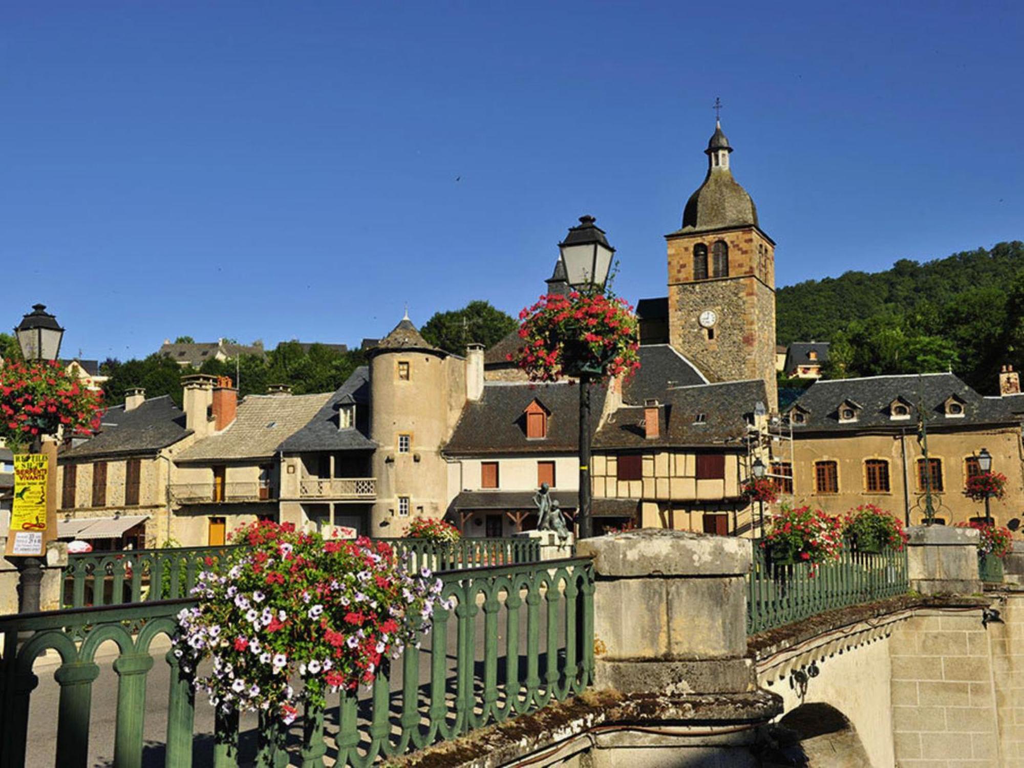 La Maison Bleue, Village Vacances, Piscine, Parking Saint-Geniez-dʼOlt Zewnętrze zdjęcie