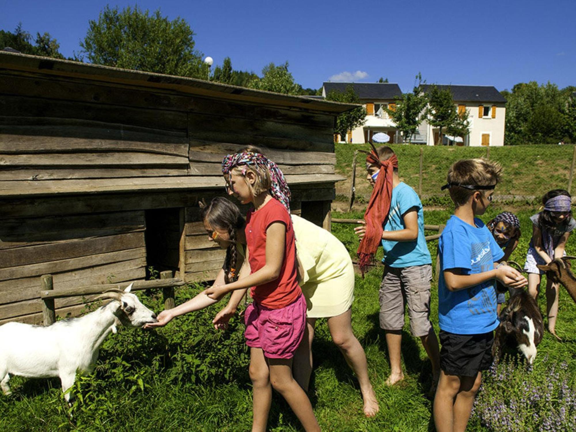 La Maison Bleue, Village Vacances, Piscine, Parking Saint-Geniez-dʼOlt Zewnętrze zdjęcie
