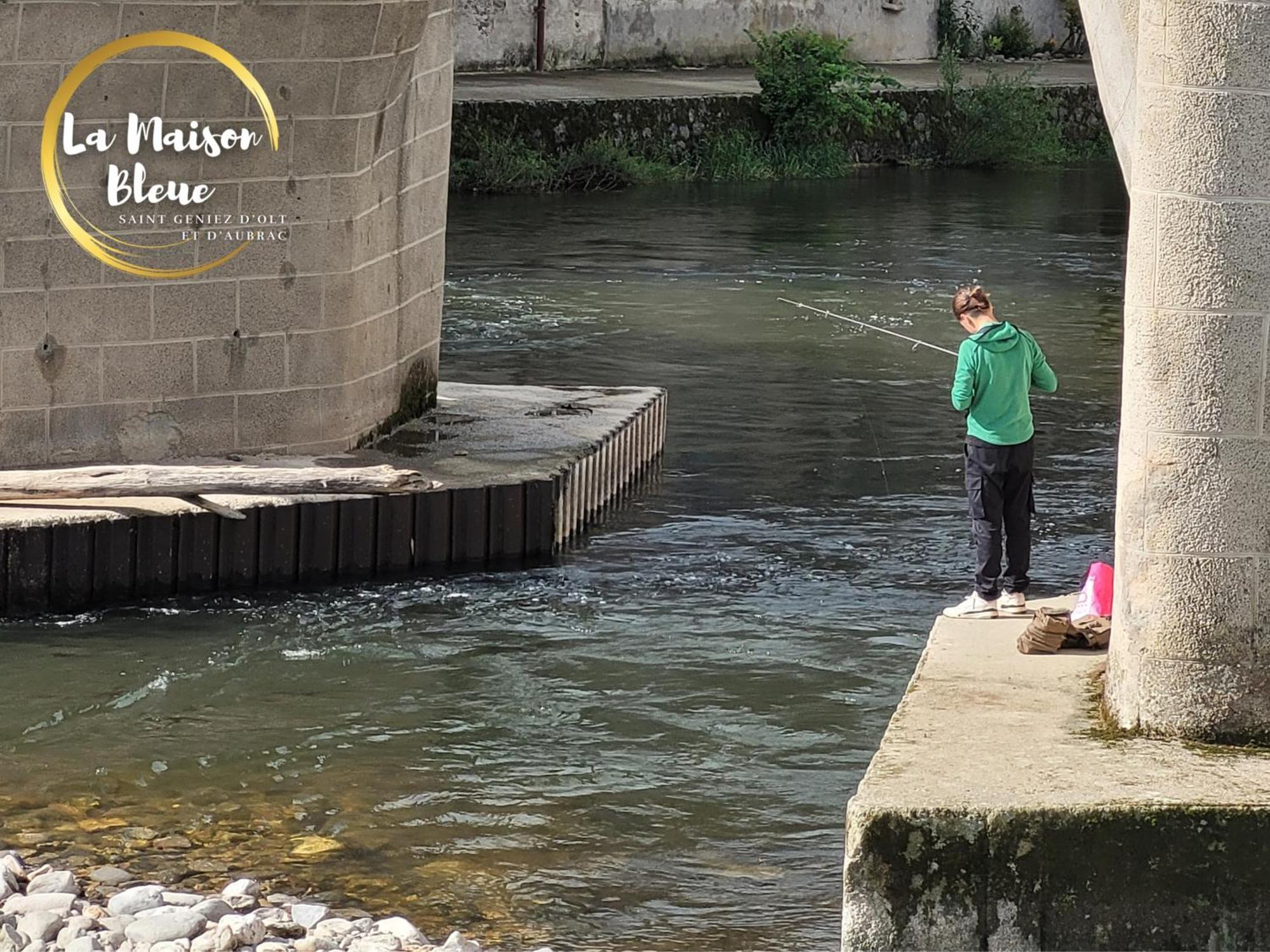 La Maison Bleue, Village Vacances, Piscine, Parking Saint-Geniez-dʼOlt Zewnętrze zdjęcie